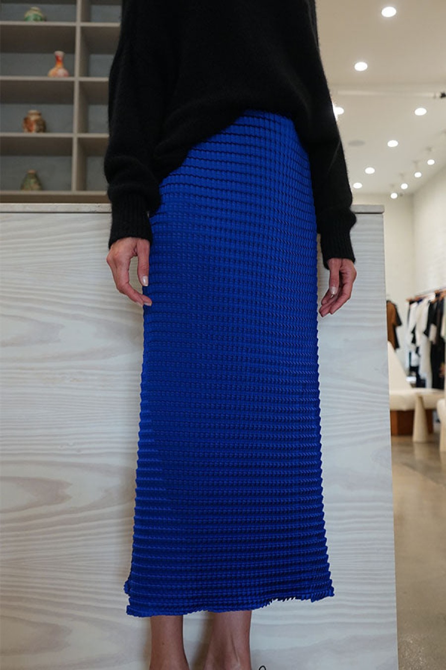 Sid Neigum | Double Knife Pleated Skirt In Indigo