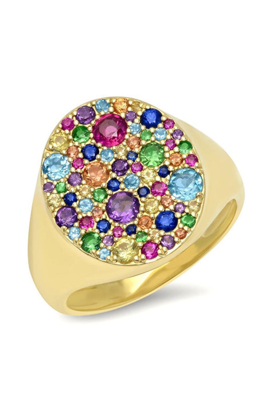 Eriness | Multi Colored Signet Ring