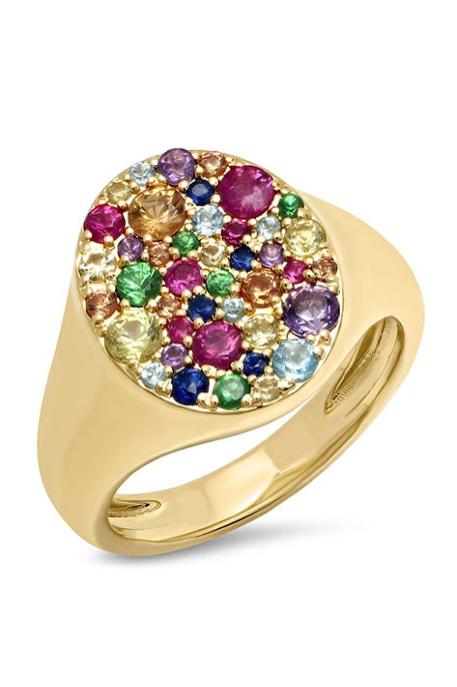 Eriness | Multi Colored Signet Pinky Ring